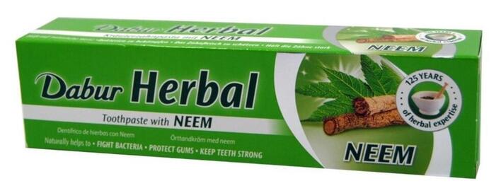 Dabur Herbal Neem Toothpaste 100 ml